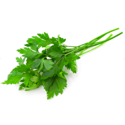 Parsley, Flat/Curly 50g